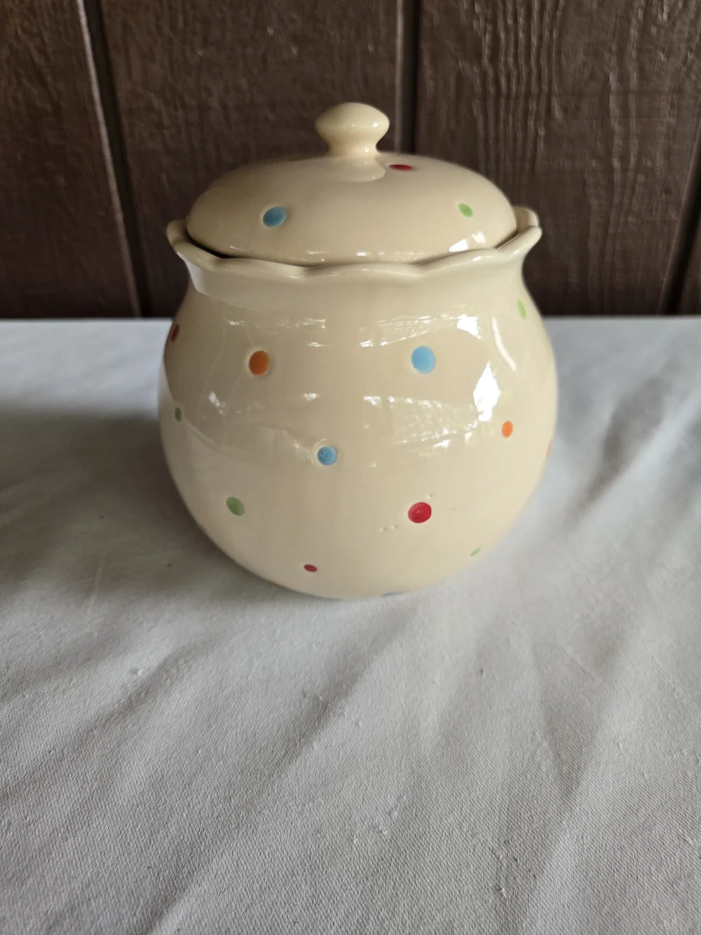 Polka Dot Ceramic 1.3qt Canister with Lid - Presentable Ovenware or Cookie Jar